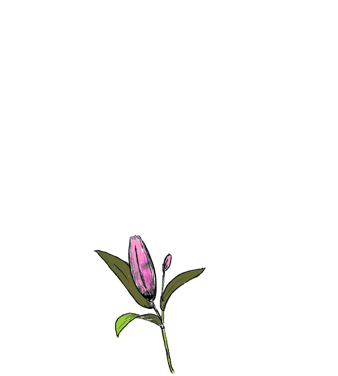 flower-blooming-col-2