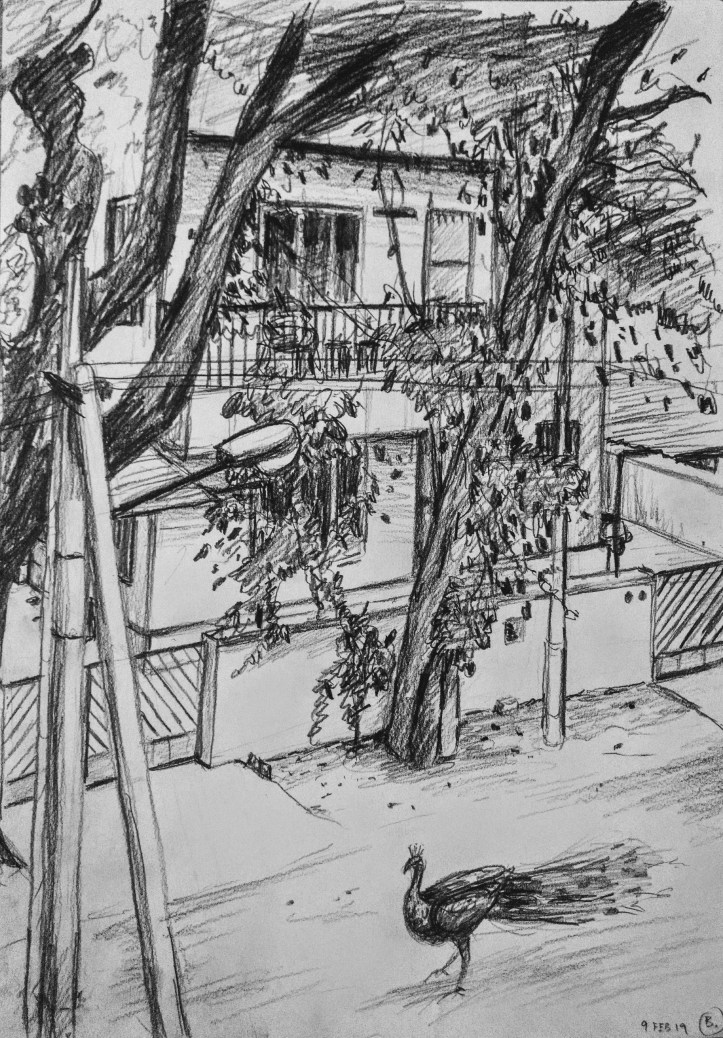 IMG_20190209_223325355